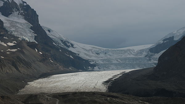 glacier_jasper