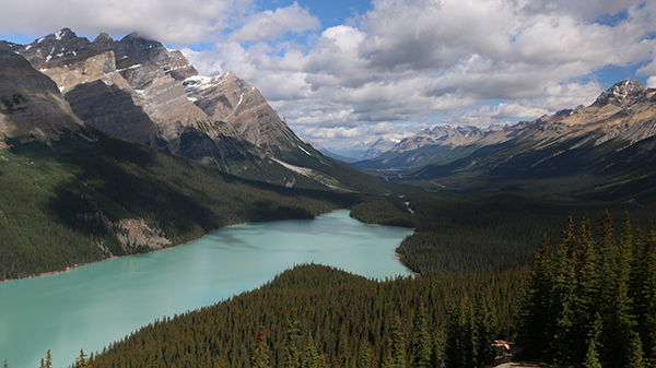 lac_peyto