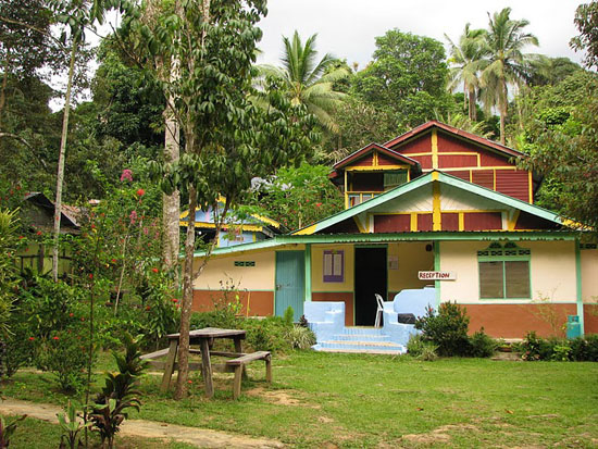 Guesthouse à Taman Negara