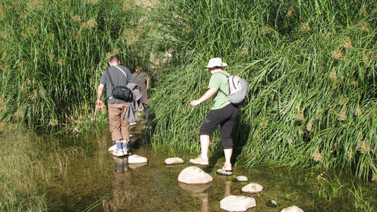 Sur le chemin du Brandberg