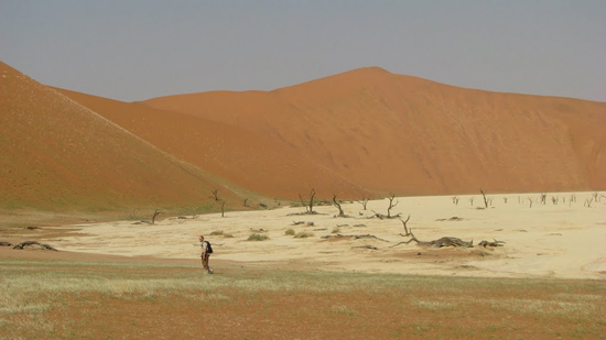 Dead Vlei