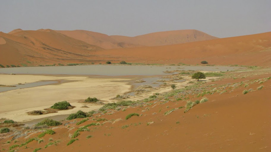 Salar rempli d'eau