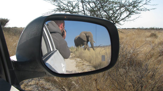 Eléphant en train de doubler !