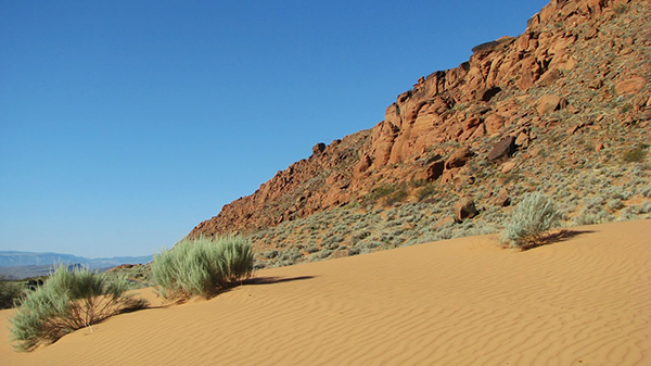 sanddunes_snowcanyon