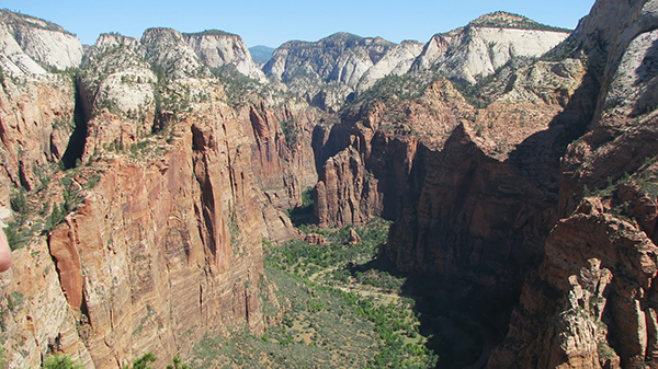 zion_vue