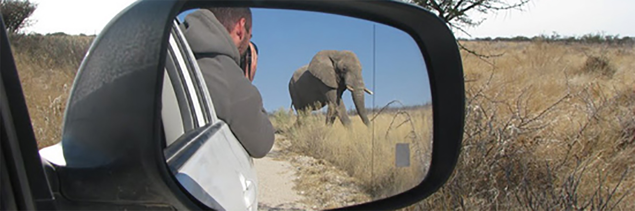 Dimanche 31 Juillet : Journée à éléphants !