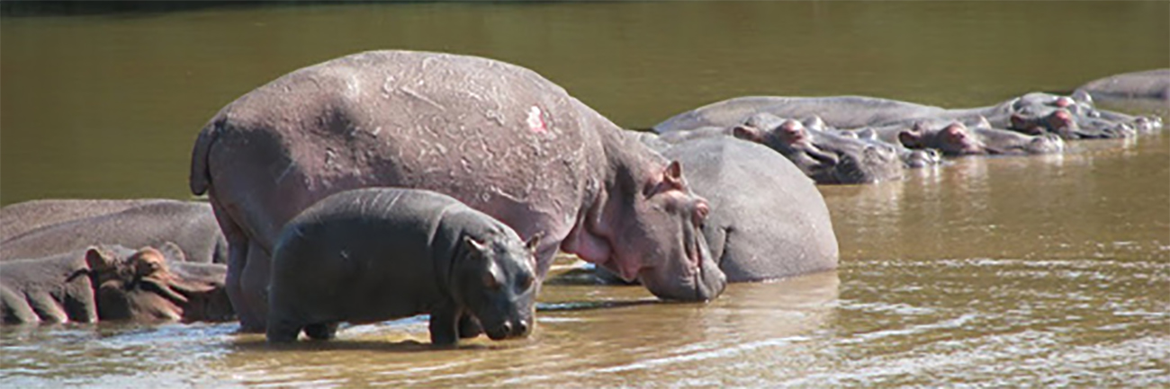 Mardi 9 Août : Arrivée au Parc Kruger