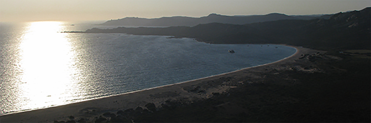 Lundi 30 Juillet : La plage de Roccapina