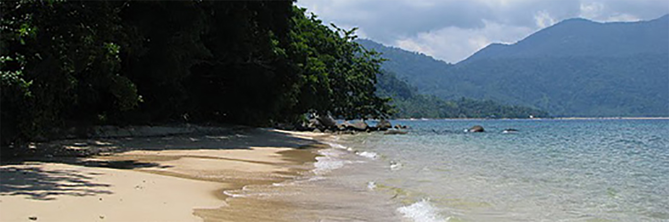 Mardi 19 Avril : Tioman, entre plage et jungle