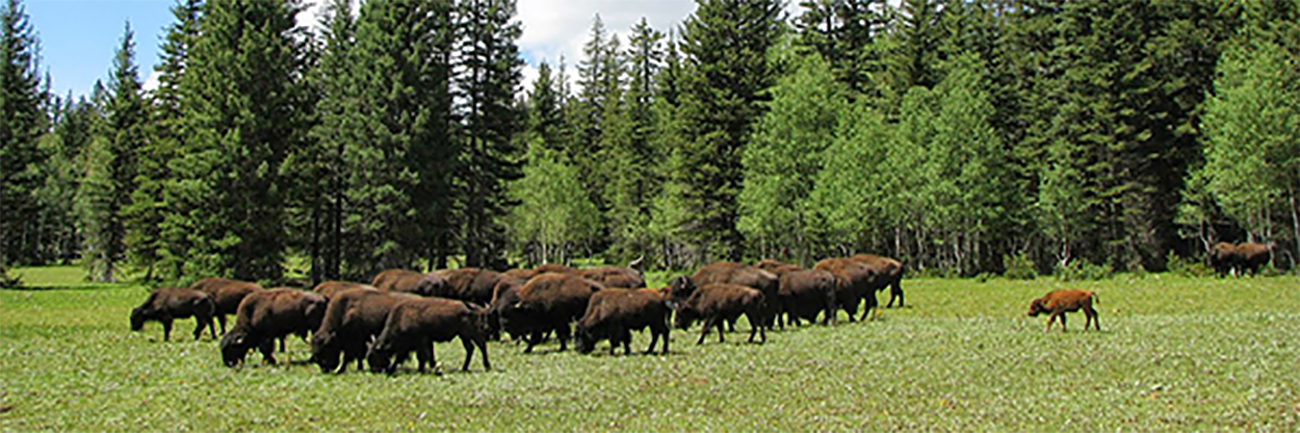 Samedi 3 Août : Au bord du Colorado