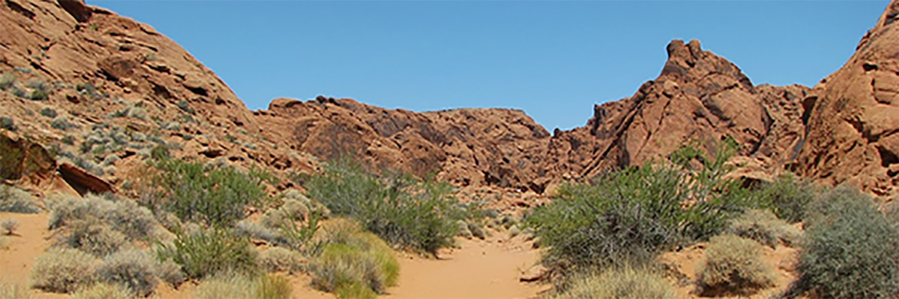 Dimanche 28 Juillet : Valley of Fire et Snow Canyon