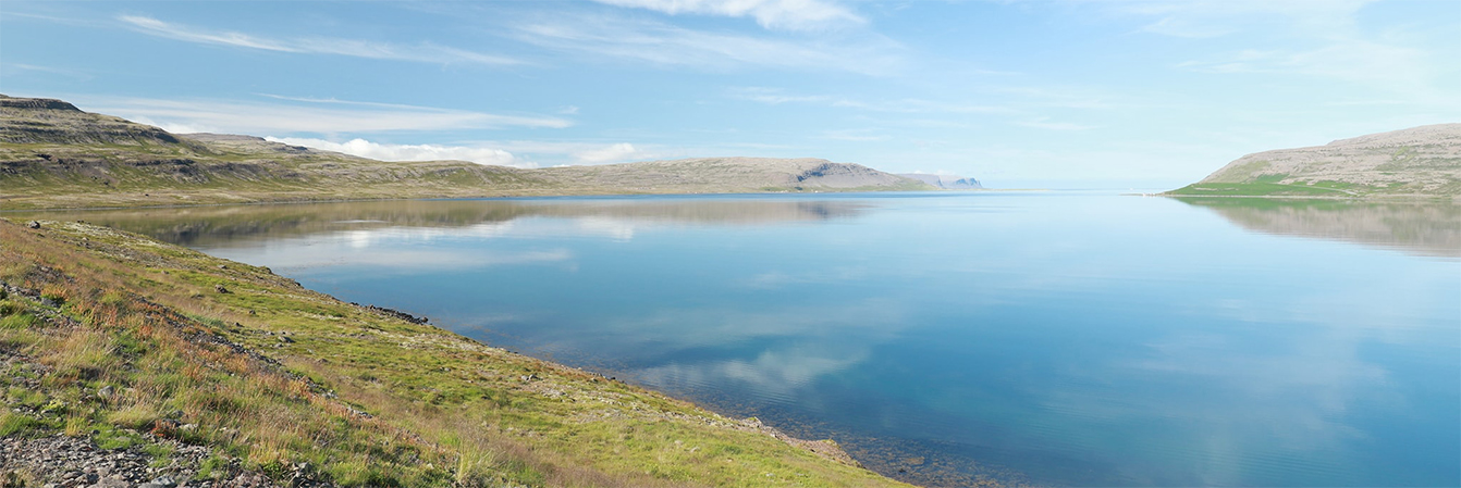 Dynjandi, renards et baleines