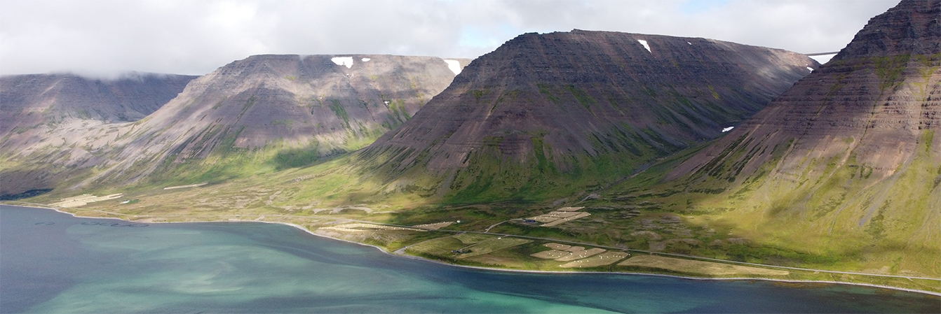 Sable blanc, Sudavik et phoques