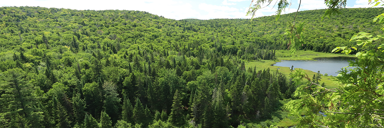 Québec, un cœur chaleureux